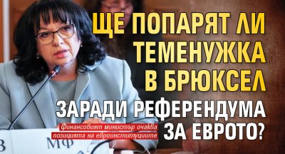 Ще попарят ли Теменужка в Брюксел заради референдума за еврото?