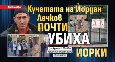 Отново: Кучетата на Йордан Лечков почти убиха йорки 