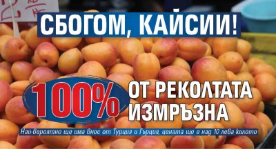 Сбогом, кайсии! 100% от реколтата измръзна
