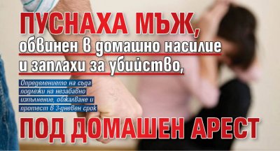 Пуснаха мъж, обвинен в домашно насилие и заплахи за убийство, под домашен арест