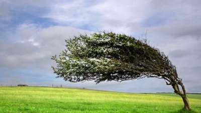Хала с 80 км в час помита 17 области днес
