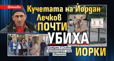 Отново: Кучетата на Йордан Лечков почти убиха йорки 