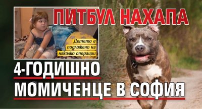 Питбул нахапа 4-годишно момиченце в София