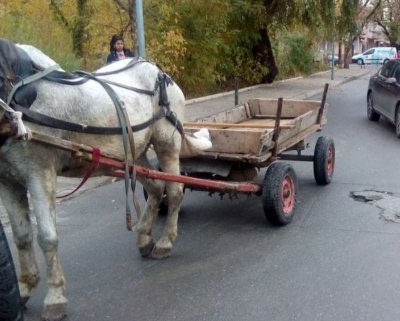 Деца с каруца блъснаха 85-годишен дядо и избягаха, той е в тежко състояние