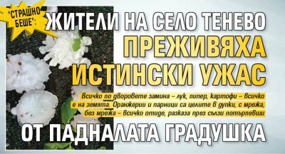 "Страшно беше": Жители на село Тенево преживяха истински ужас от падналата градушка