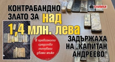 Контрабандно злато за над 1,4 млн. лева задържаха на „Капитан Андреево“ (СНИМКИ)