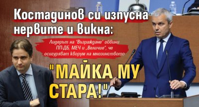 Костадинов си изпусна нервите и викна: "Майка му стара!"