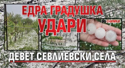 Едра градушка удари девет севлиевски села (Снимки)