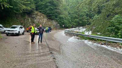 Затварят за два дни Петрохан за почистване на опасни дървета