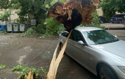 Огромно дърво се стовари върху кола в Русе