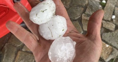 Над 20 хиляди декара земеделска продукция е унищожена от силната