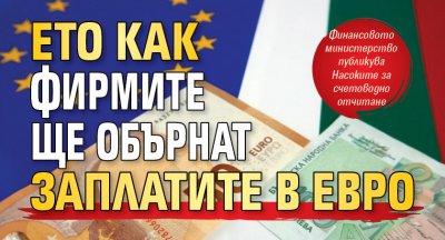 Ето как фирмите ще обърнат заплатите в евро
