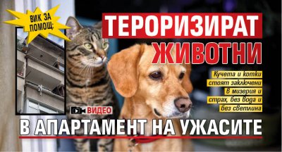 Вик за помощ: Тероризират животни в апартамент на ужасите (ВИДЕО)