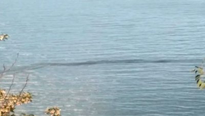 РИОСВ успокои, че тъмните петна в морето не са това, което виждаме