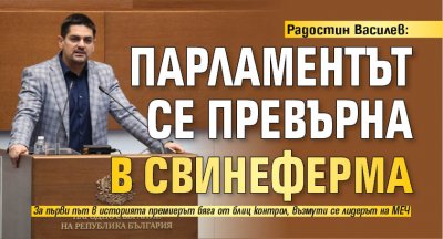 Радостин Василев: Парламентът се превърна в свинеферма