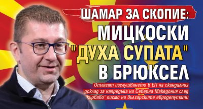 ШАМАР ЗА СКОПИЕ: Мицкоски "духа супата" в Брюксел