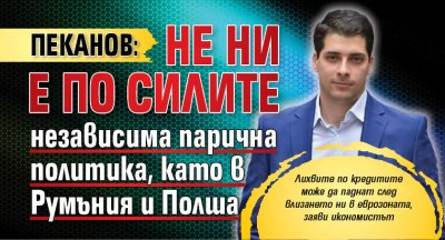 Пеканов: Не ни е по силите независима парична политика, като в Румъния и Полша