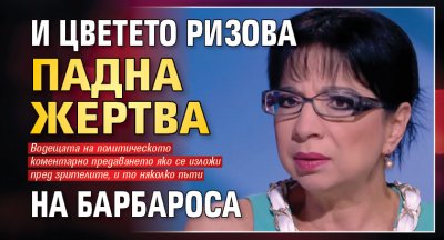 И Цветето Ризова падна жертва на Барбароса