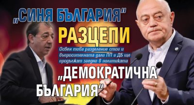 „Синя България“ разцепи „Демократична България“ 