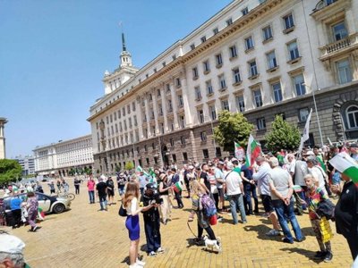 При мижав интерес: Протести в защита на българския лев в София, Варна и Дупница