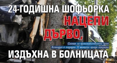 24-годишна шофьорка нацепи дърво, издъхна в болницата