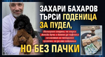 Захари Бахаров търси годеница за пудел, но без пачки