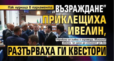 Пак лудница в парламента: "Възраждане" приклещиха Ивелин, разтърваха ги квестори 