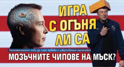 Игра с огъня ли са мозъчните чипове на Мъск?