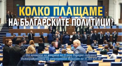 Колко плащаме на българските политици? 