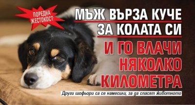 Поредна жестокост: Мъж върза куче за колата си и го влачи няколко километра