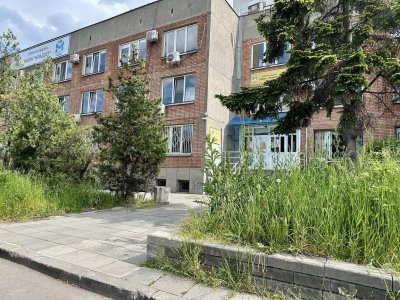 Внимание: Бурени до коленете - рай за кърлежите