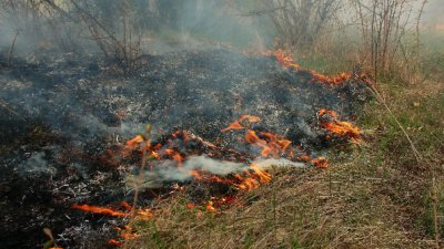 Пламна гората над голям хотелски комплекс край Велинград 