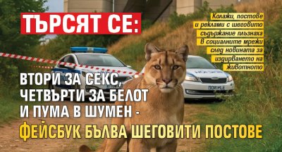 Търсят се: Втори за секс, четвърти за белот и пума в Шумен - Фейсбук бълва шеговити постове