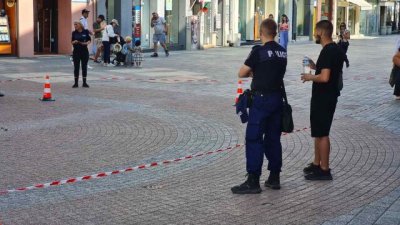 Заради пчели: Полицаи затвориха част от главната улица в Пловдив
