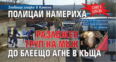 Само в Lupa.bg: Зловеща гледка в Камено: Полицаи намериха разложен труп на мъж до блеещо агне в къща 