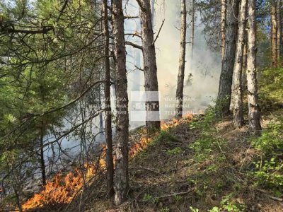 Голям пожар гори край Струмяни