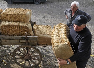 Иззеха 800 кг контрабанден тютюн от склад в София