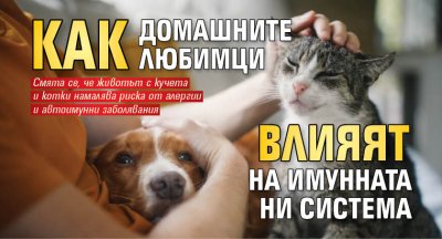 Как домашните любимци влияят на имунната ни система