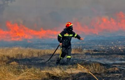 Посеви с пшеница пламнаха по време на жътва в Монтанско