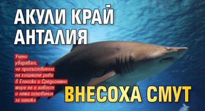 Акули край Анталия внесоха смут