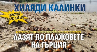 Туристите тръскат хавлии: Хиляди калинки лазят по плажовете на Гърция 