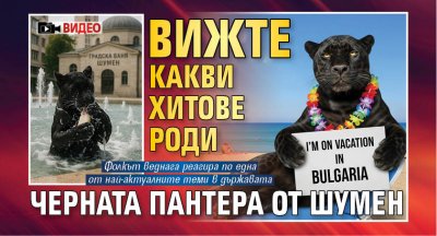 Вижте какви хитове роди Черната пантера от Шумен (ВИДЕО)