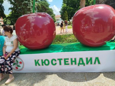 Празникът на черешата в Кюстендил събра кулинарни виртуози (СНИМКИ)