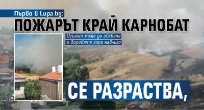 Първо в Lupa.bg: Пожарът край Карнобат се разраства