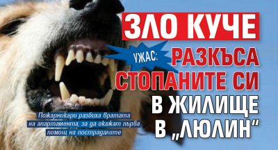 Ужас: Зло куче разкъса стопаните си в жилище в „Люлин“