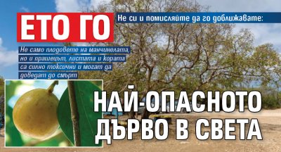 Не си и помисляйте да го доближавате: Ето го най-опасното дърво в света