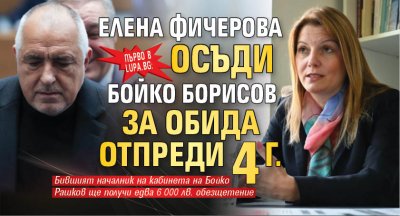 Първо в Lupa.bg: Елена Фичерова осъди Бойко Борисов за обида отпреди 4 г. 