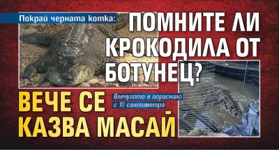 Покрай черната котка: Помните ли крокодила от Ботунец? Вече се казва Масай