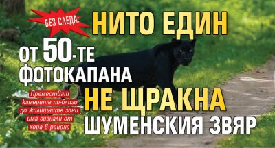 БЕЗ СЛЕДА: Нито един от 50-те фотокапана не щракна шуменския звяр