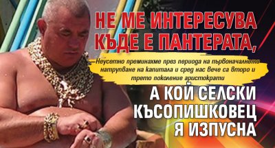 Не ме интересува къде е пантерата, а кой селски късопишковец я изпусна